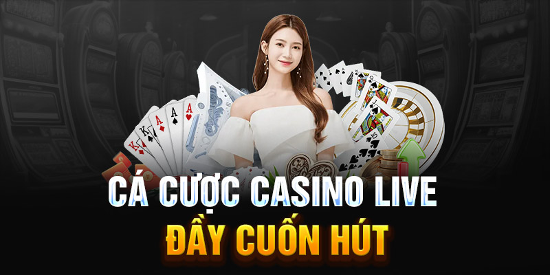 Cá cược Casino live đầy cuốn hút